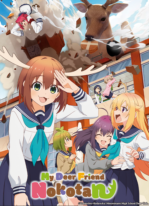 banner nokotan